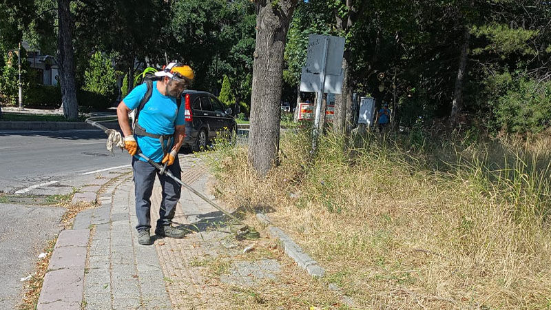 Kütahya'da Ot Biçme Mesaisi Devam Ediyor (3)