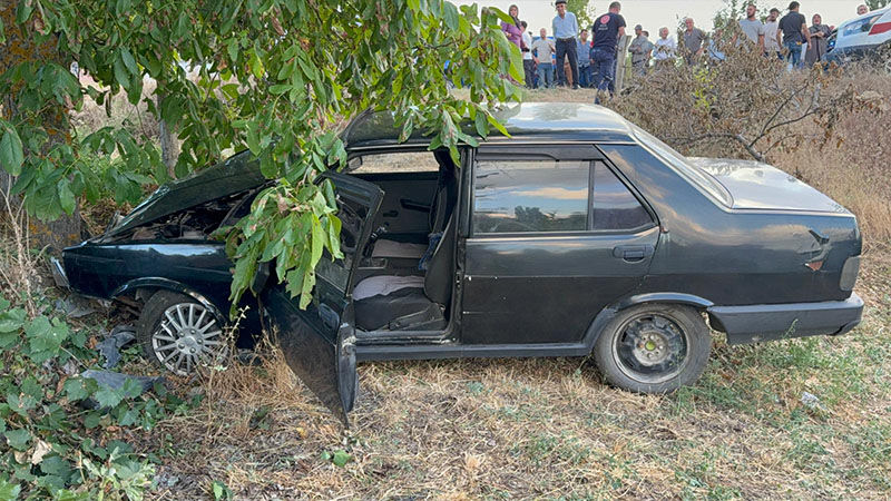 Kütahya'da Otomobil Ağaca Çarptı, Yaralılar Var (3)