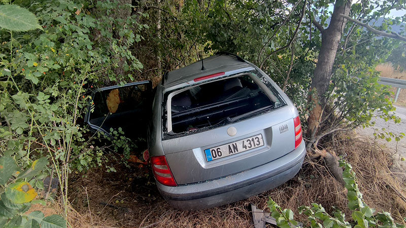 Kütahya'da Otomobil Ağaçlık Alana Çarptı, Sürücü Yaralı (3)