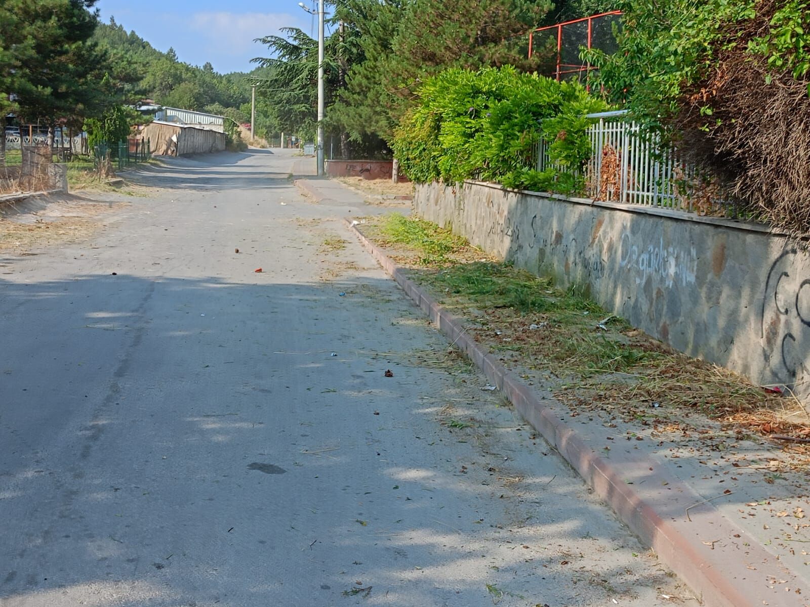 Kütahya’da Temizlik Ve Ot Biçme Çalışmaları Devam Ediyor (1)