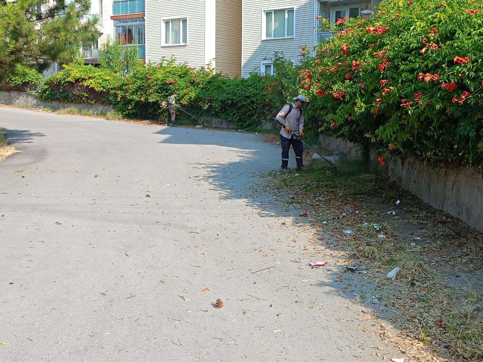 Kütahya’da Temizlik Ve Ot Biçme Çalışmaları Devam Ediyor (6)