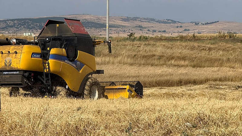 Kütahya'da Yerli Ve Milli Arpa Çeşitlerinde Yüksek Verim (2)