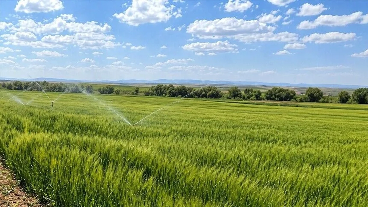 Yapay Zeka Tarımda Çiftçilerin En Büyük Yardımcısı Oluyor 1