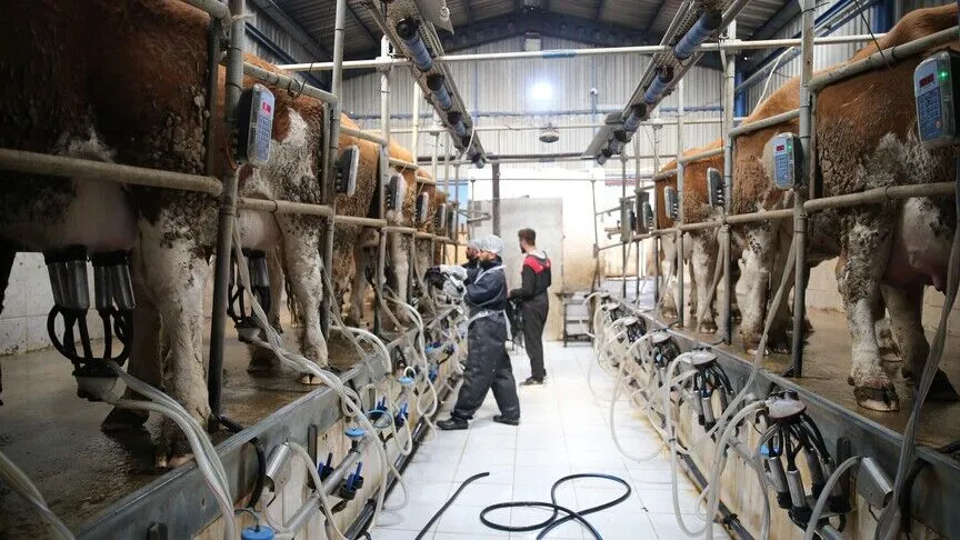 Beta Laktoglobulin Üretimine Ihracat Koşullu Izin (2)
