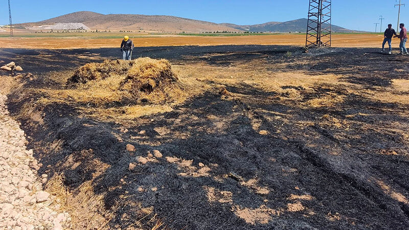 Kütahya Altıntaş’ta anız yangını