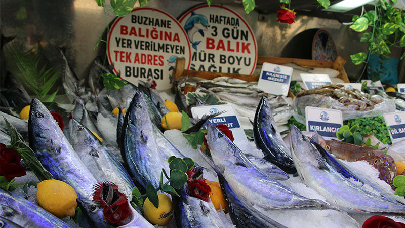 Kütahya’da Balık Tezgahlarının En Çok Satanları (5)