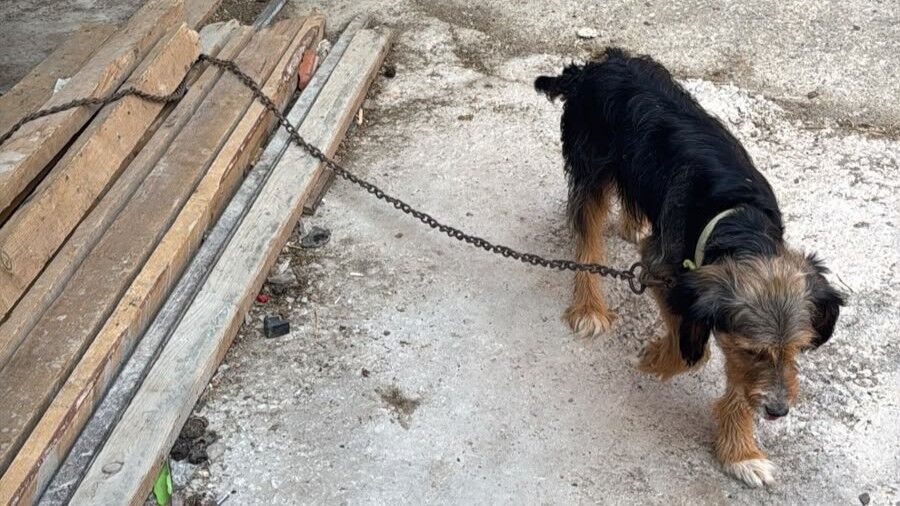 Kütahya’da Elektrik Direği Evin Üstüne Devrildi (4)