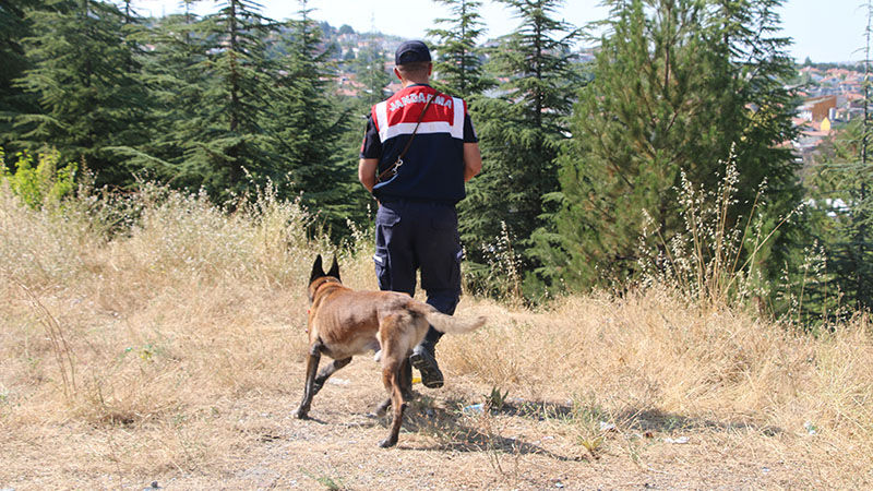 Kütahya'da Kayıp Genç Için Komandolar Arama Çalışması Yaptı (4)
