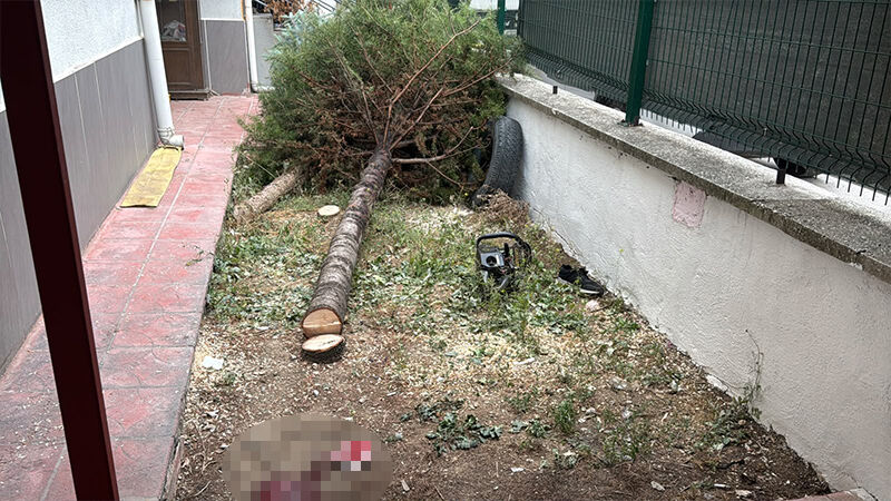 Kütahya'da Motorlu Testereyle Yaralanan Kişi Hastaneye Kaldırıldı (1)-1