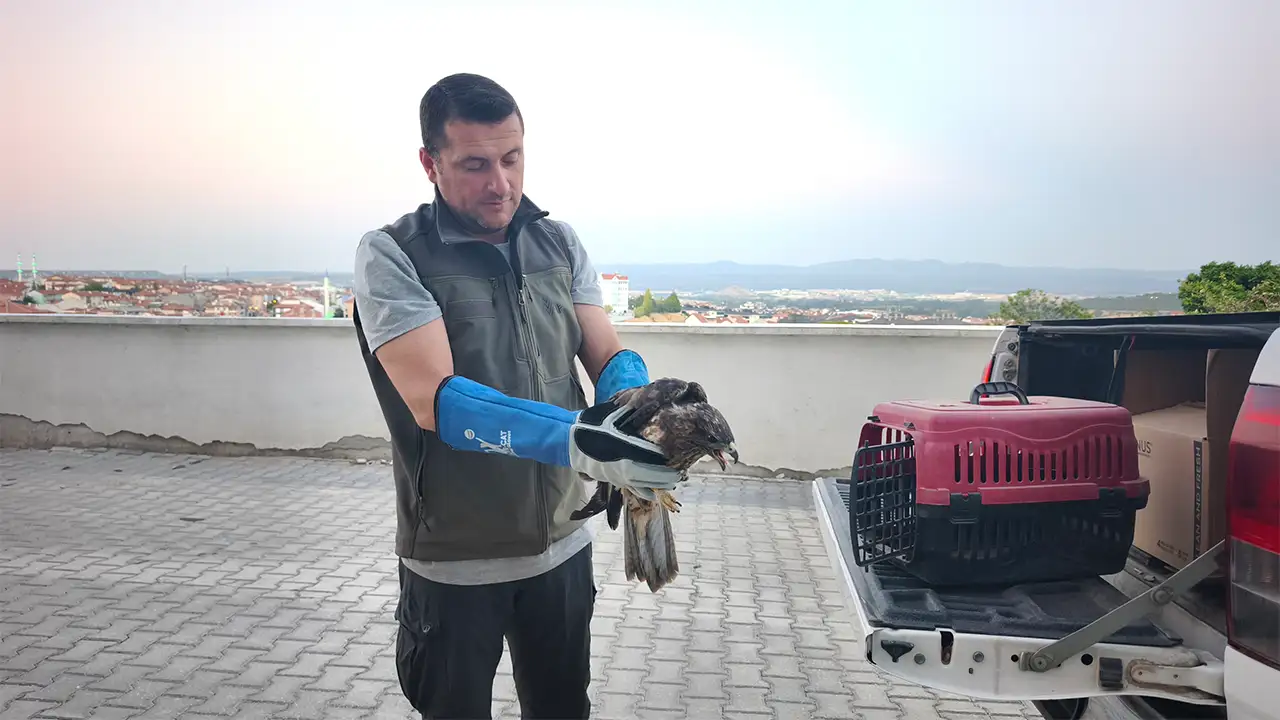 Kütahya’da Yaralı Şahini Ekiplere Teslim Etti2