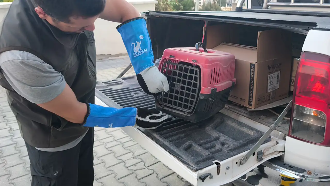 Kütahya’da Yaralı Şahini Ekiplere Teslim Etti5