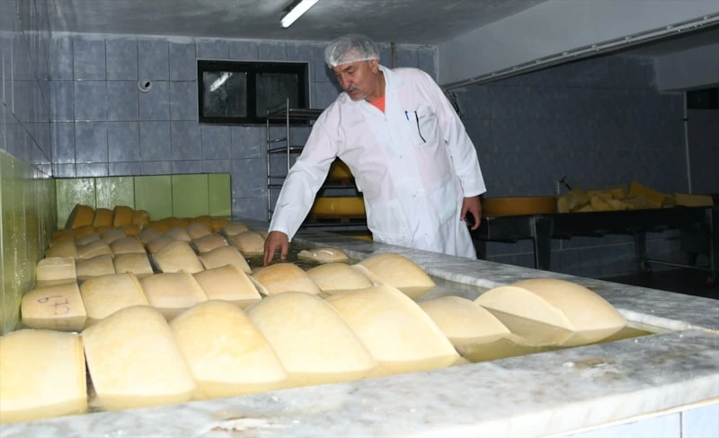 Peynirlerin Kralı Gravyerin Kars (3)
