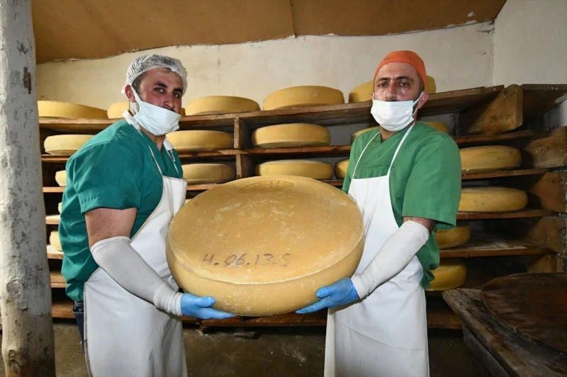 Peynirlerin Kralı Gravyerin Kars (5)