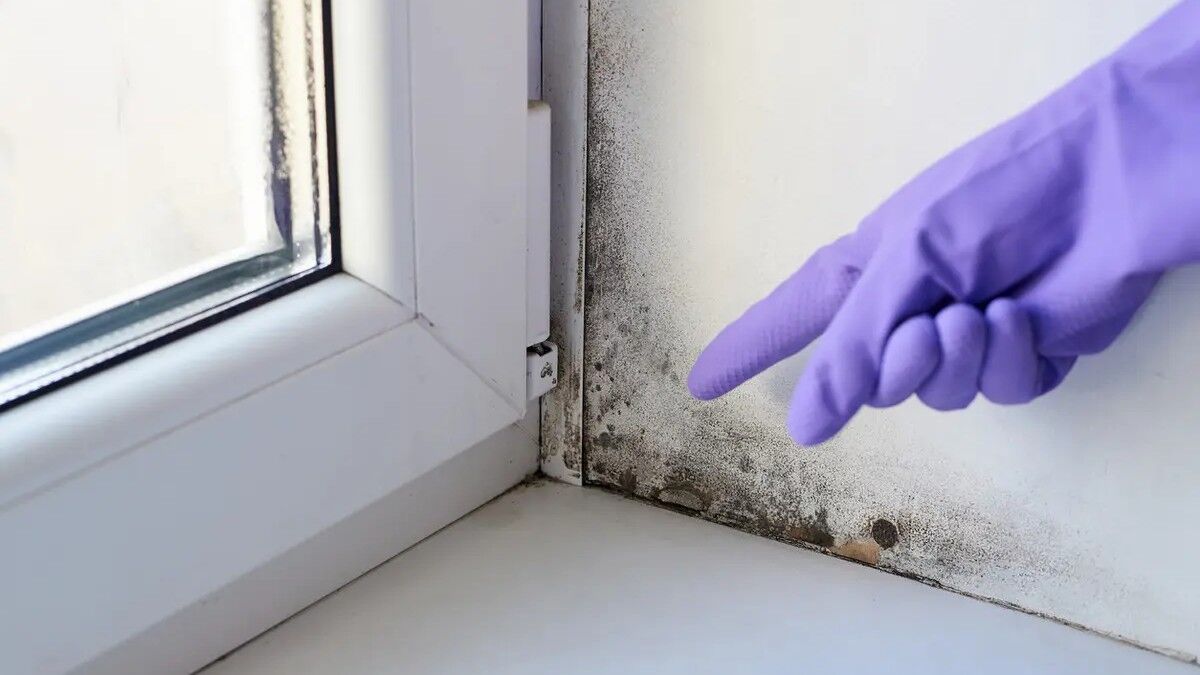 Sonbaharda Peş Peşe Hapşırıyorsanız Nedeni Bu Olabilir! (1)-1
