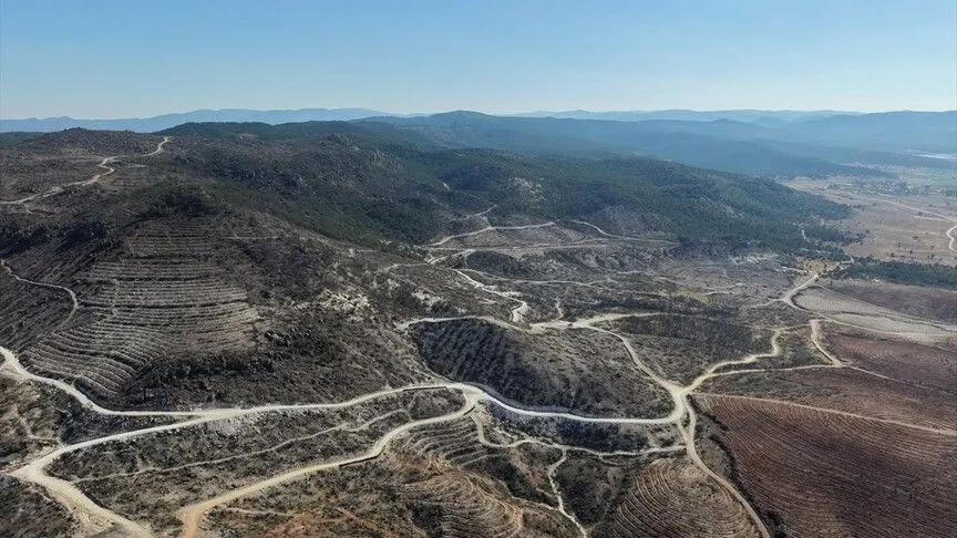 Afyonkarahisar'da Yangın Sonrası Yaban Hayatı Araştırılıyor (4)