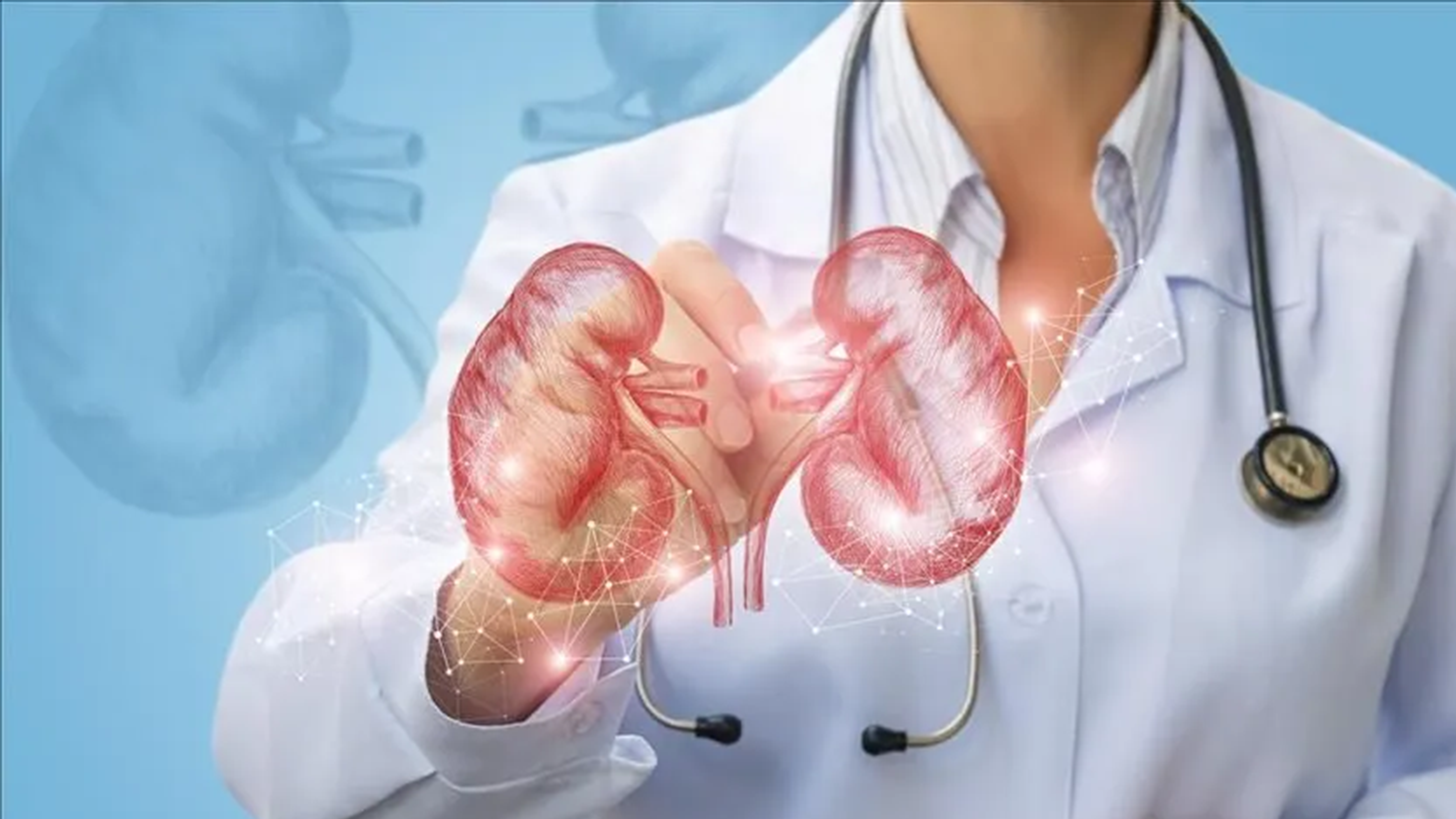 Astrazeneca Türkiye'de Böbrek Hastalığının Etkisini Araştırdı