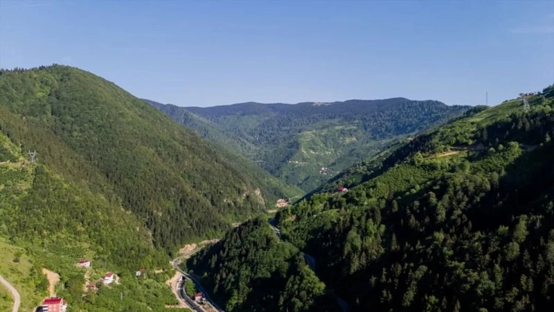 Giresun’un Adı Nereden Geliyor İşte Dikkat Çeken Rivayetler (1)