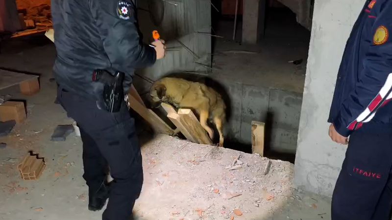 Kütahya Polis Ekibi Asansör Boşuna Düşen Köpeği Kurtardı (1)