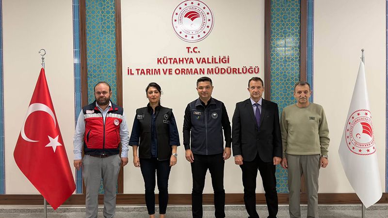 Kütahya'da Anadolu Mandası Için Önemli Çalışma (1)