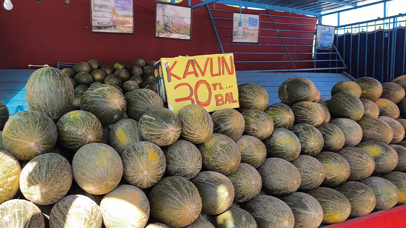 Kütahya’da Cirosunu Metehan’a Bağışlayacak (6)