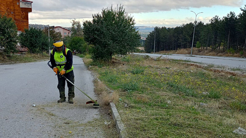 Kütahya’da Ot Biçme Çalışmaları Sürüyor (3)