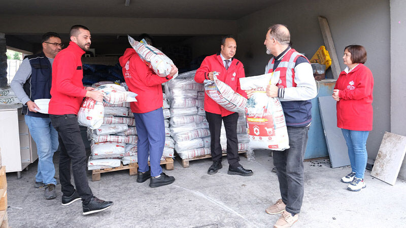 Kütahya’da Sahipsiz Hayvanlara Mama Desteği (3)