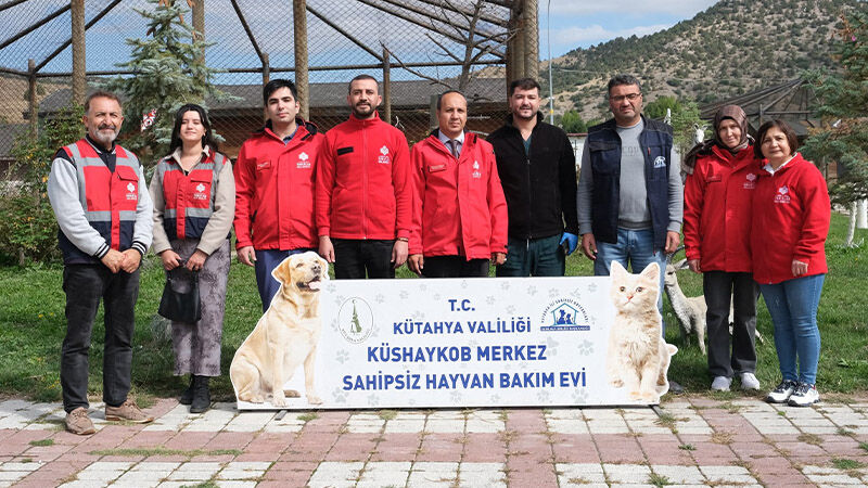 Kütahya’da Sahipsiz Hayvanlara Mama Desteği (4)