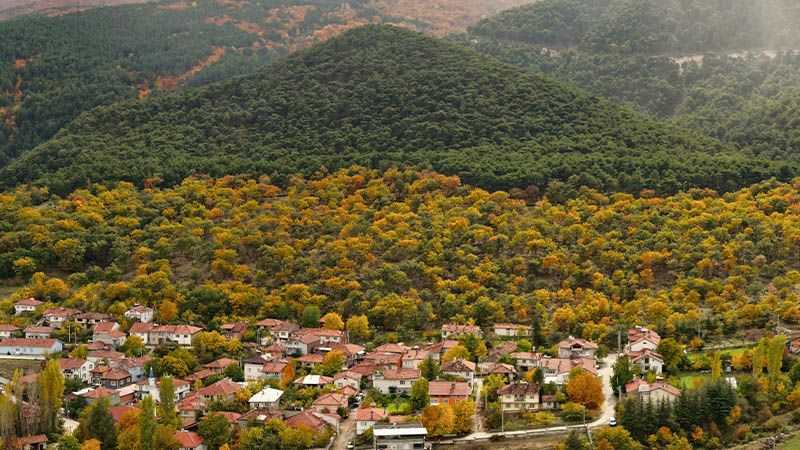 Kütahya’da Yellice Dağı, Sonbahar Renklerine Büründü (2)