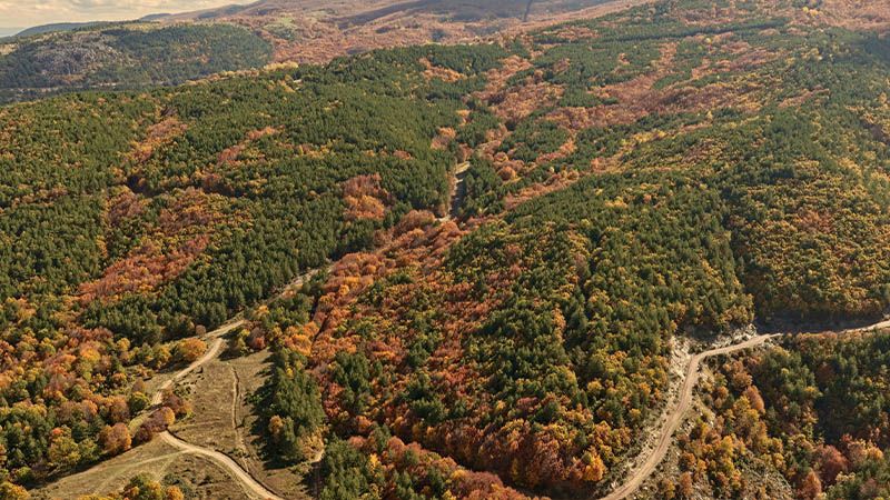 Kütahya’da Yellice Dağı, Sonbahar Renklerine Büründü (4)