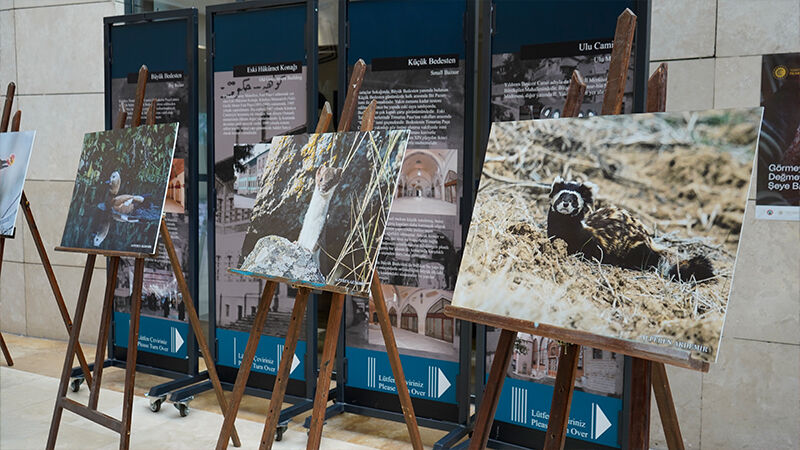 Kütahya’nın Yaban Hayvanları Fotoğraf Sergisi Açıldı (1)