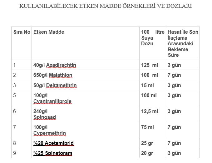 Çiftçiler kiraz sineğine karşı uyarıldı