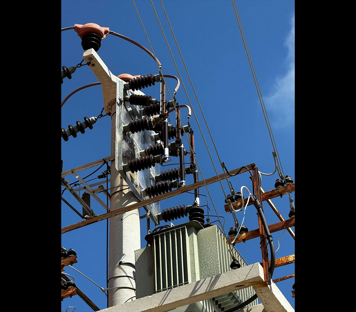 Kuşların göç rotasında yer alan bölgede hizmet veren elektrik dağıtım şirketi OEDAŞ, kuşları elektrik akımından korumak için yaptığı çalışmalara bir yenisini ekledi.