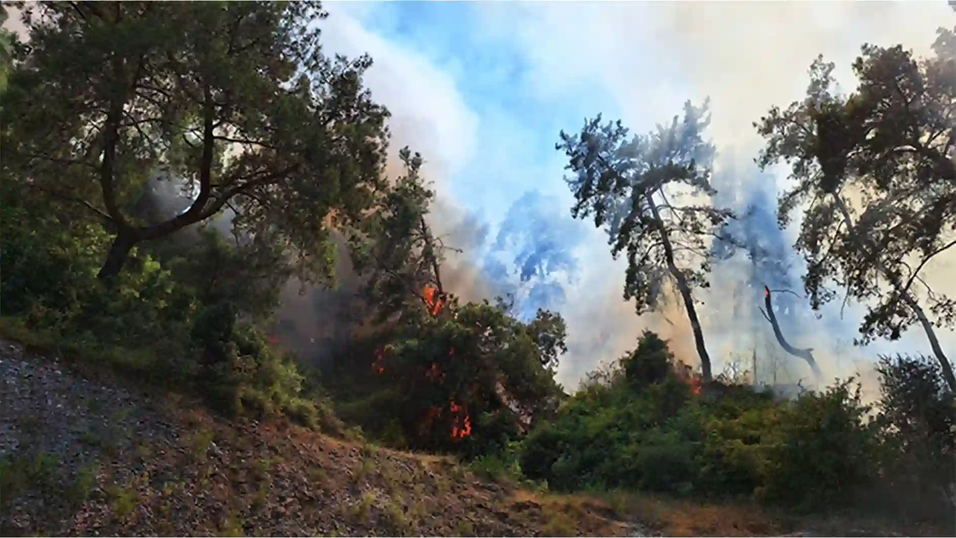 Antalya'nın Aksu ilçesinde yerleşim yerlerine yakın ormanlık alanda çıkan yangına müdahale ediliyor.