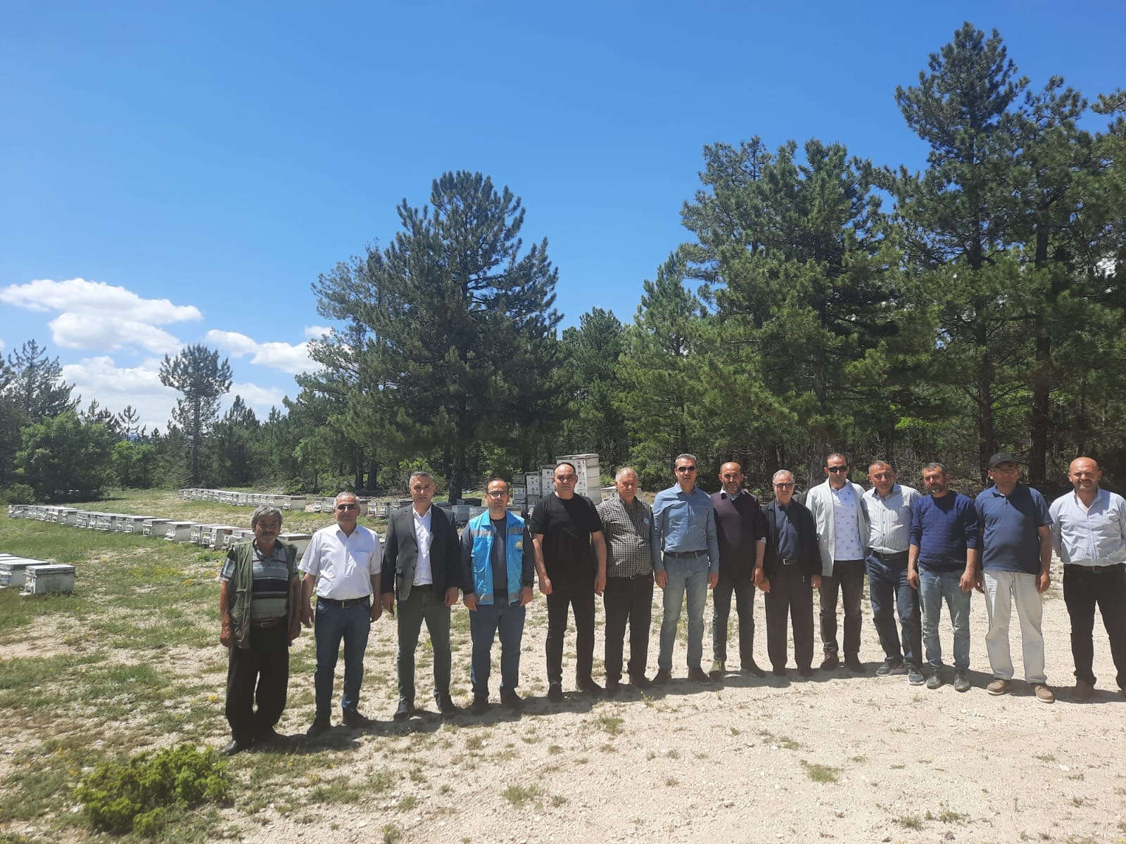 Kütahya’nın Emet ilçesinde arılı çıtaların dağıtımı devam ediyor.