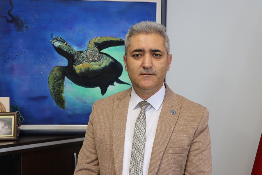 Koruma çabaları sayesinde deniz kaplumbağası sayısı artıyor