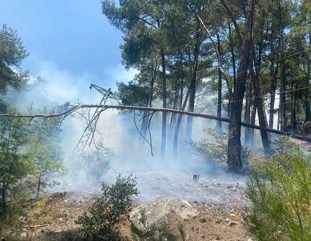 Antalya'nın Finike ilçesinde, ormanlık alanda çıkan yangında 2 dönüm alan zarar gördü.