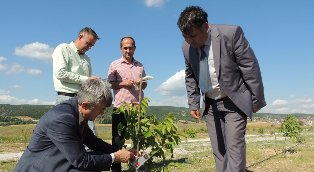 DPÜ Tavşanlı’da ‘mor esinti’ açıldı