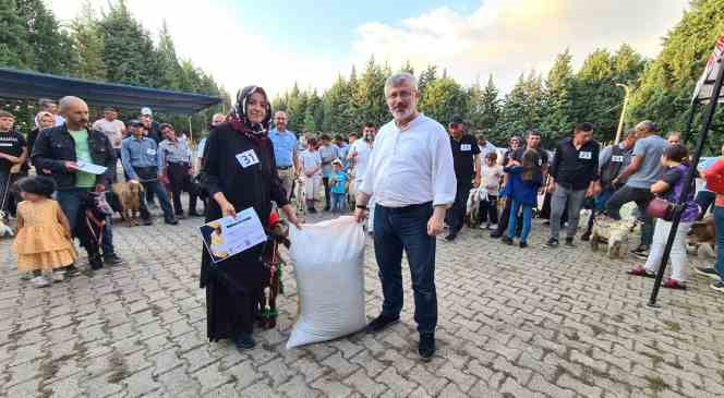 Emet'te oğlak güzellik yarışması düzenlendi