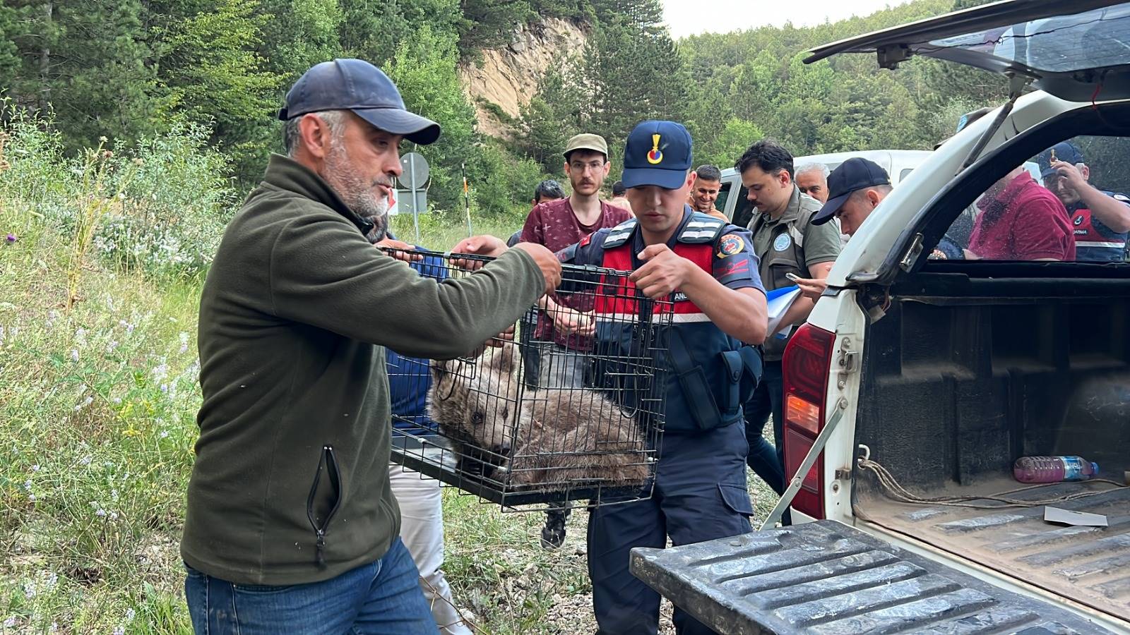 Kütahya'da yaralı bulunan yavru ayı kurtarıldı