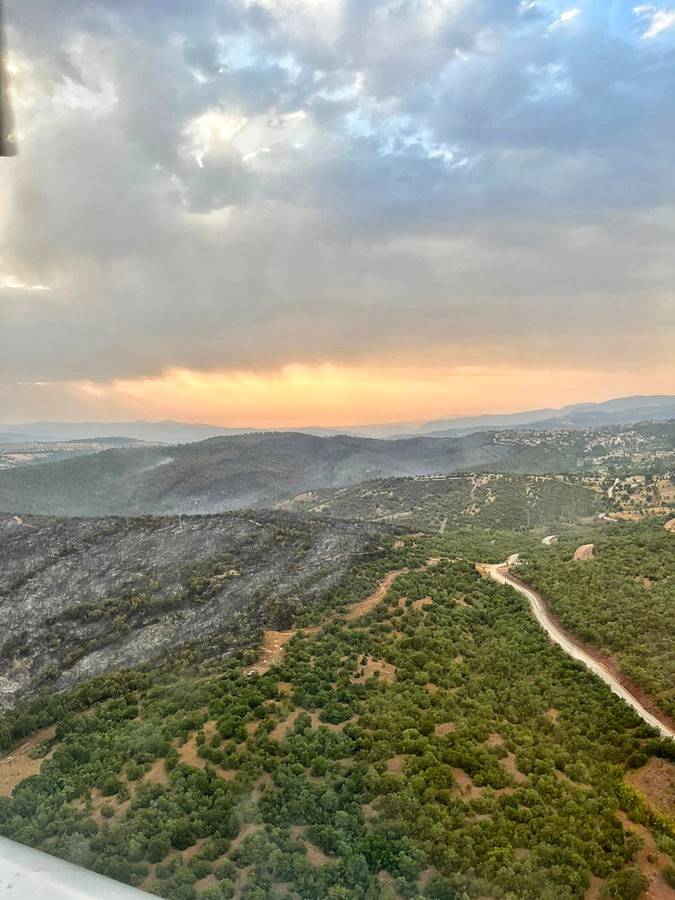 Kütahya'daki orman yangını