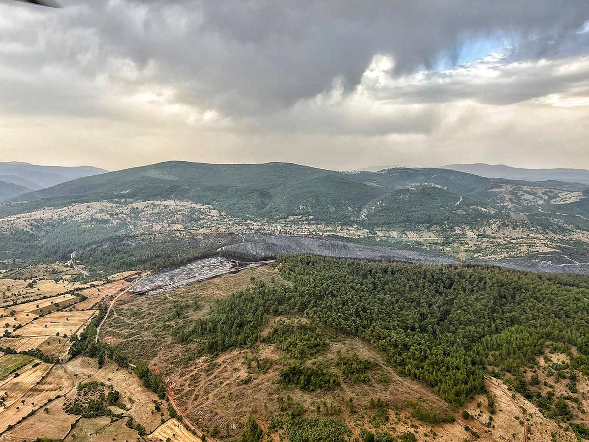 Kütahya'daki orman yangınında yanan alan miktarı belli oldu