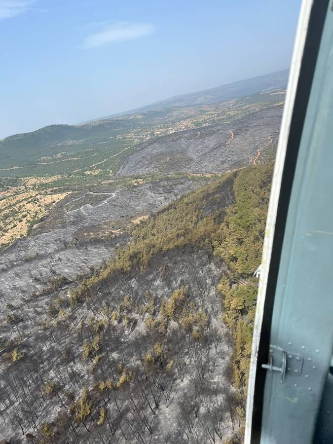 Kütahya'daki orman yangını