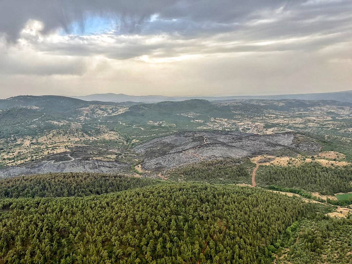 Kütahya'daki orman yangınında yanan alan miktarı belli oldu