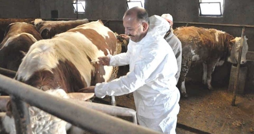 Kütahya'da şap hastalığı nedeniyle hayvan pazarları kapatıldı