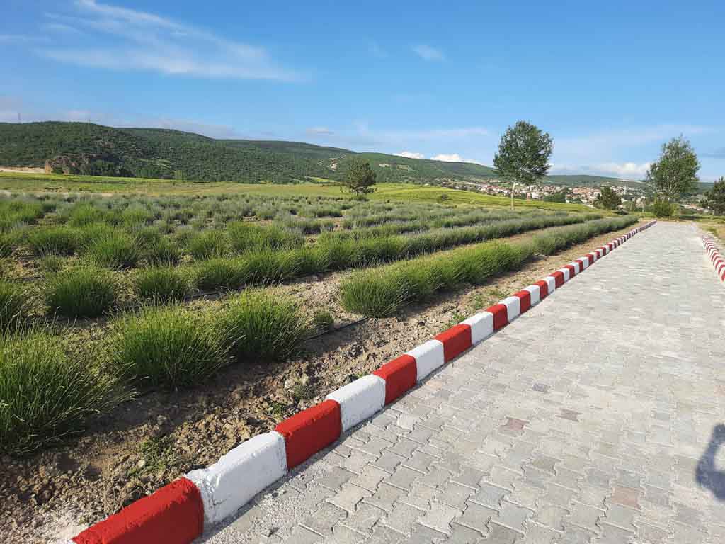 Tavşanlı Sosyal Hizmetler Müdürü Havva Gümüş, Sosyal Hizmetler Müdürlüğünde görevli Sosyolog Hilal Can ve Öğretmen Gökşen Bayram Tavşanlı Meslek Yüksekokulunu ziyaret ettiler.