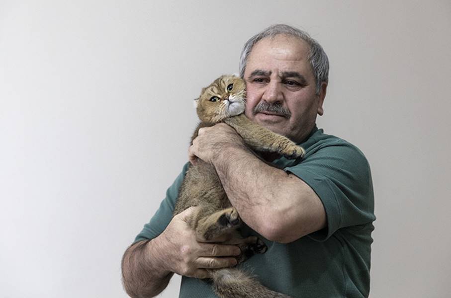 Erzurum'da, gençlik yıllarında yetiştirdiği güvercinlerini yediği için kedilere antipati duyan emekli komiser Tahsin Tepe, çocuklarının sahiplendiği çMüezzaç adlı kedisinin salıncakta sallanması için her gün defalarca parka gidiyor.