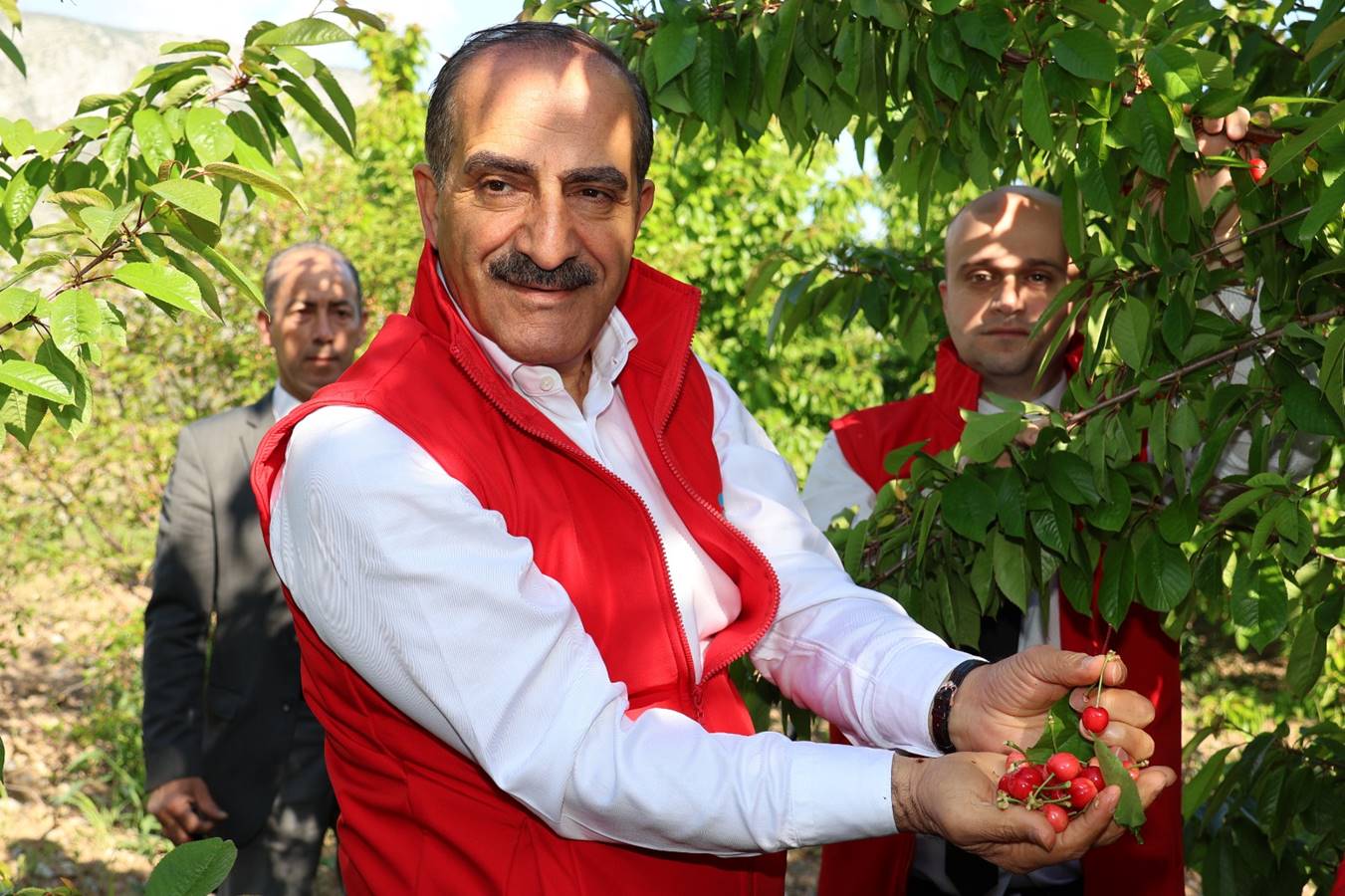 Türkiye'nin kiraz ihracatı 205 milyon dolara ulaştı