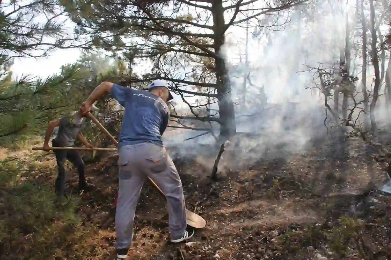 Kütahya orman yangını ile ilgili ilk açıklama Vali Işın’dan