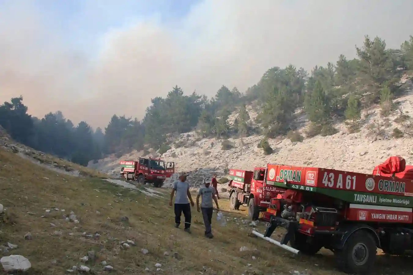 Kütahya orman yangını ile ilgili ilk açıklama Vali Işın’dan