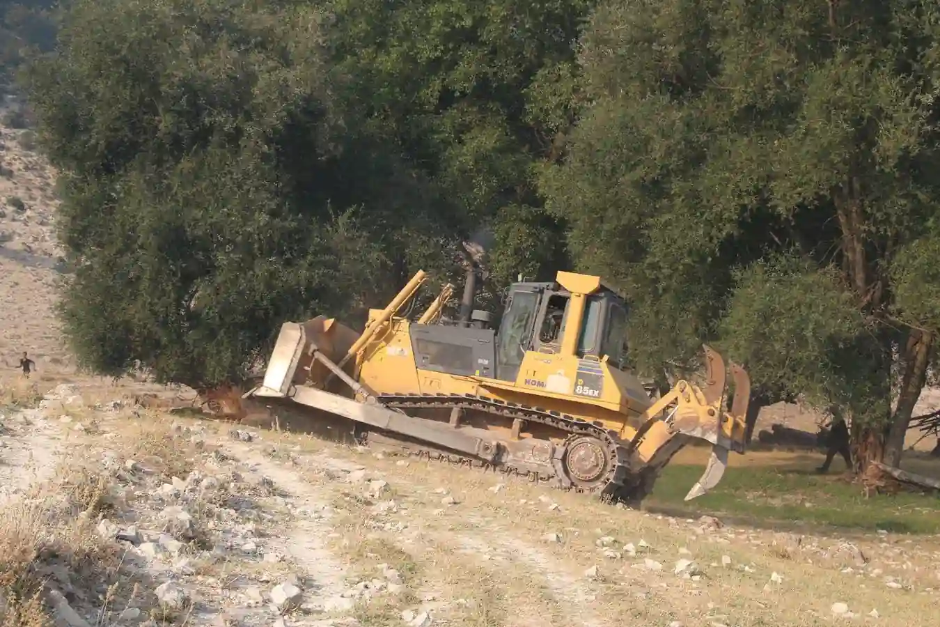 Kütahya orman yangını ile ilgili ilk açıklama Vali Işın’dan